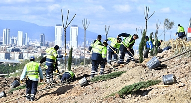 Bornova yeni bir orman kazanıyor