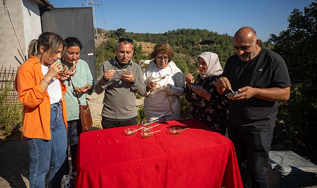 Bornova’da Tatlı Emek: Bal Hasadı Sevinci