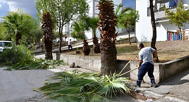 Çiğli’de sonbahar bakımı: Ağaçlar budanıyor, kent güzelleşiyor