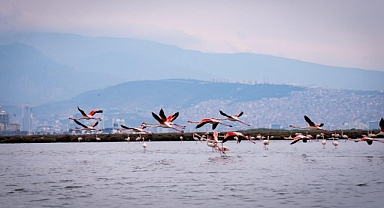 Doğa, kültür ve lezzet tutkunları yarıyıl tatilinde bu turlarda buluşacak