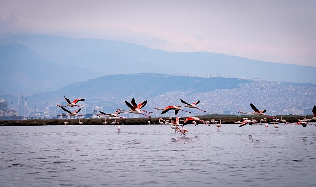 Doğa, kültür ve lezzet tutkunları yarıyıl tatilinde bu turlarda buluşacak