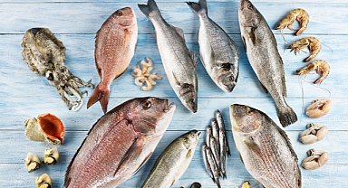 Türkiye’nin balık ihracatı 2026 yılına rekorla girdi