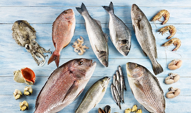 Türkiye’nin balık ihracatı 2026 yılına rekorla girdi